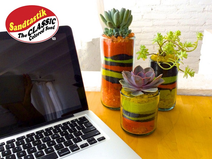 How to make a Desktop Succulent Garden 1